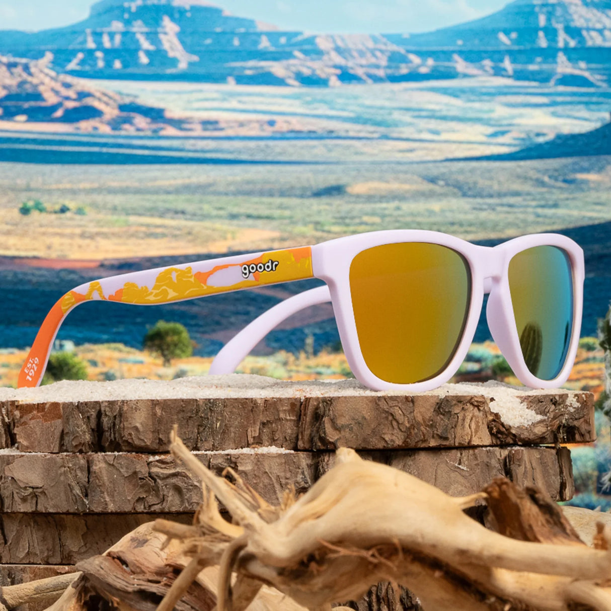 goodr - Arches National Park