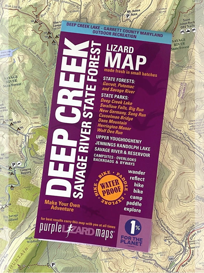 Deep Creek - Savage River State Forest: Maryland